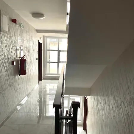 Tina Apartment Soko Banja