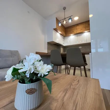 Tina Apartment *