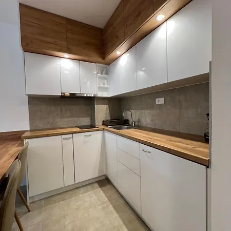 Apartment Tina Soko Banja