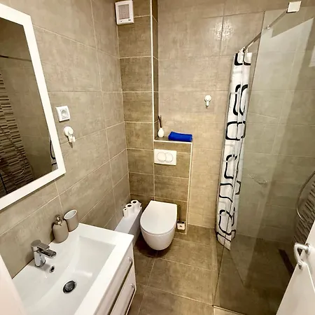 Tina Apartament Soko Banja