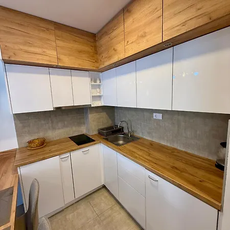 Tina Apartament Soko Banja