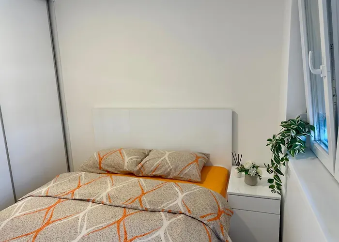 Tina סוקו בניה